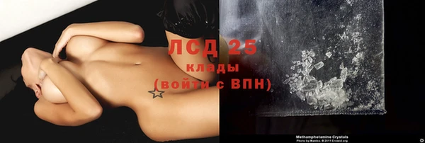 ПСИЛОЦИБИНОВЫЕ ГРИБЫ Баксан