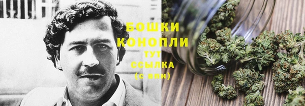 дживик Беломорск