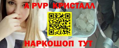 стафф Нальчик