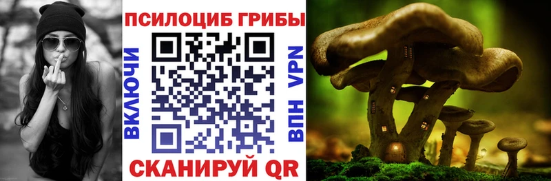 OMG ССЫЛКА  Армавир  Псилоцибиновые грибы Psilocybe 