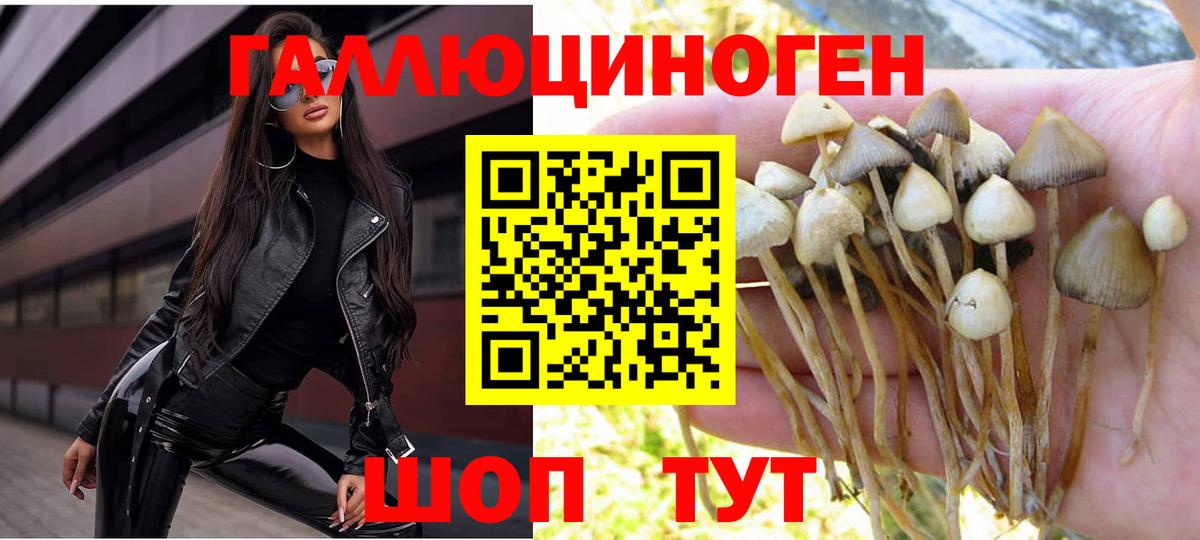 купить наркотики цена  Галлюциногенные грибы MAGIC MUSHROOMS  Вход с VPN  Армавир 