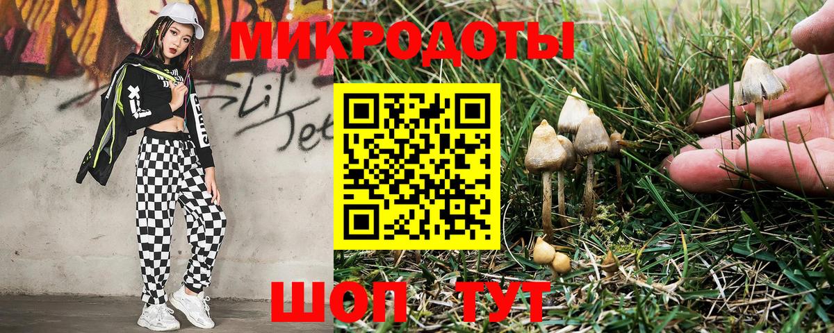 Галлюциногенные грибы Psilocybe Армавир